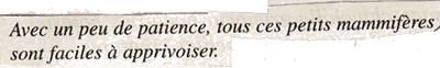 texte1
