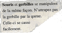 texte4