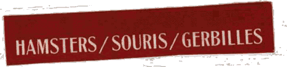 titre gerbille