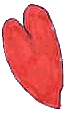 un coeur